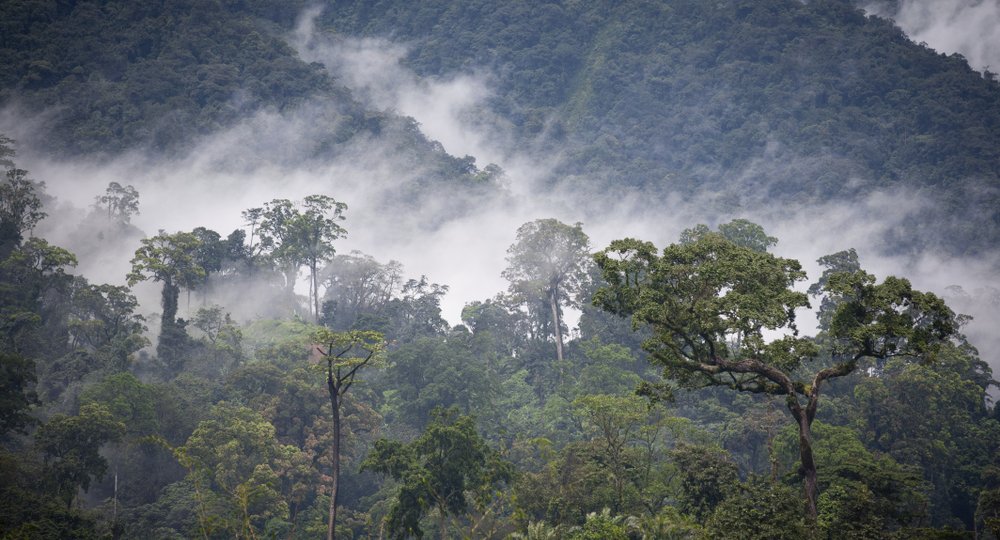 Дешевые авиабилеты в Камерун